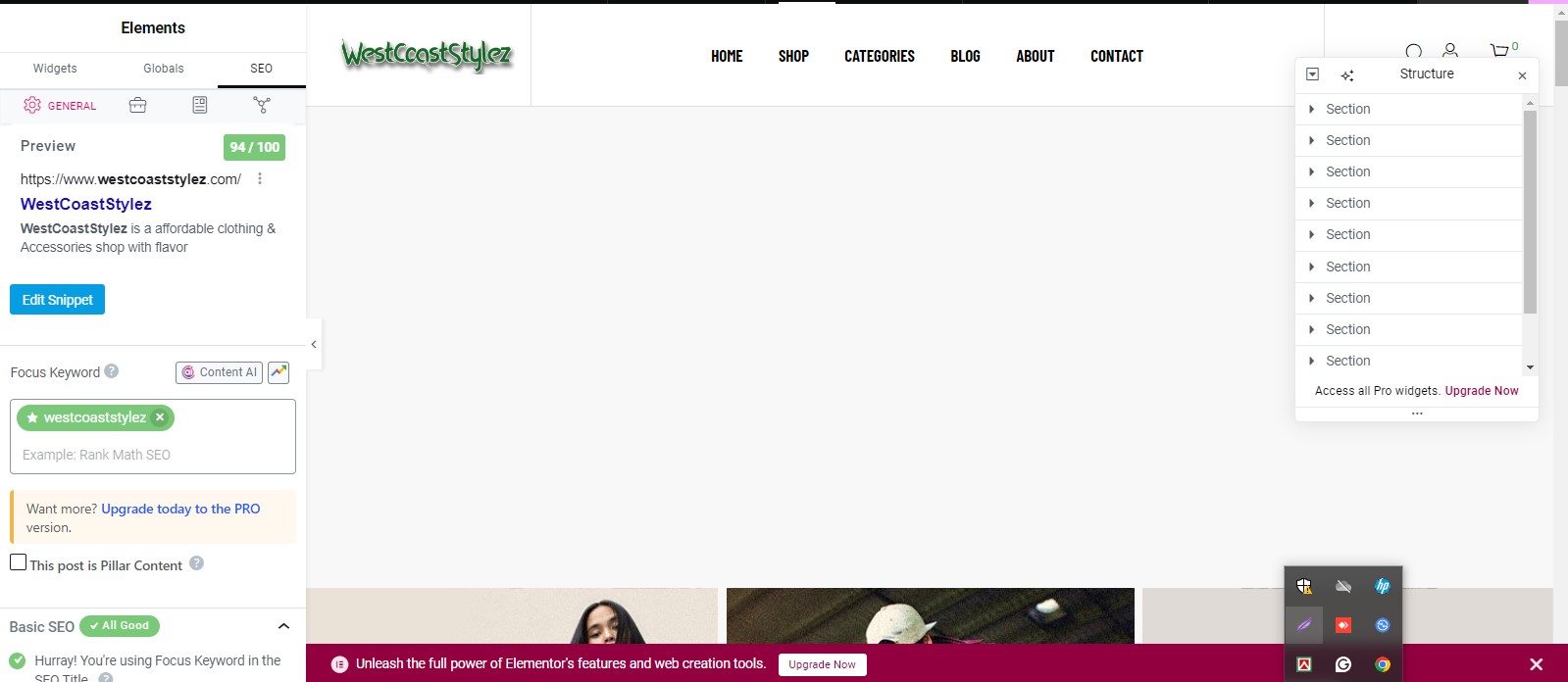 Boost Your WordPress Site's Visibility with Expert SEO Services