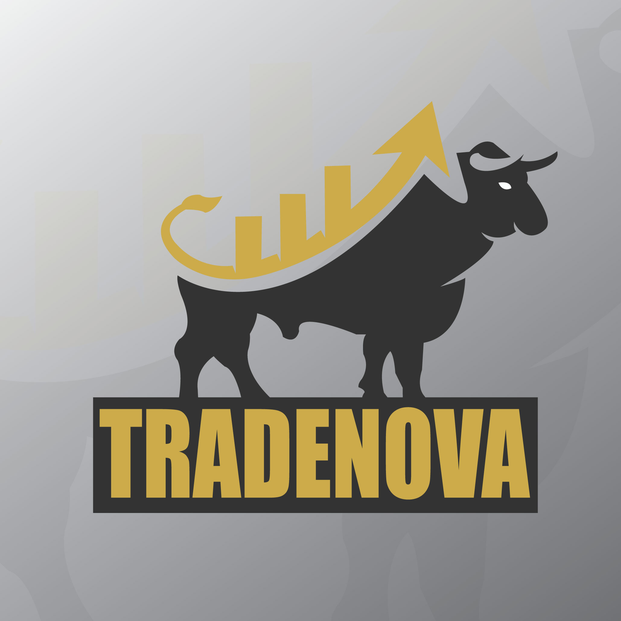 Eyecatching custom logos for any platform or any intended purpose designed for low price.