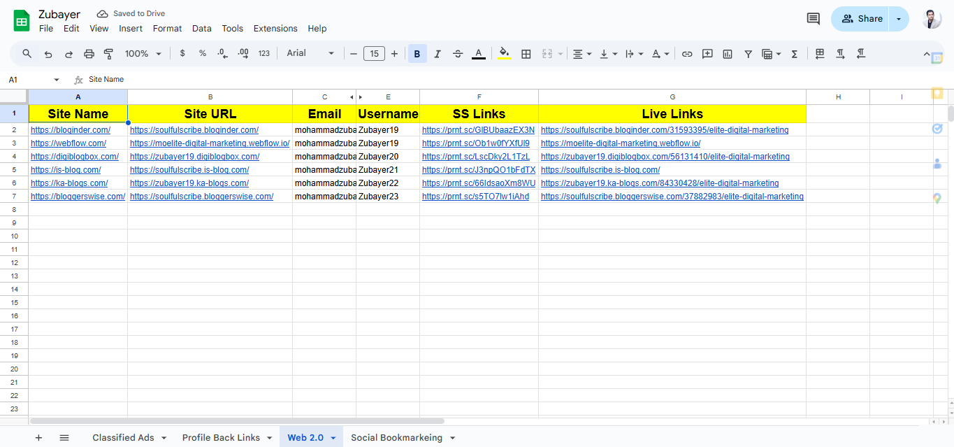 Get 100 high-quality, high-quality Web 2.0 backlinks