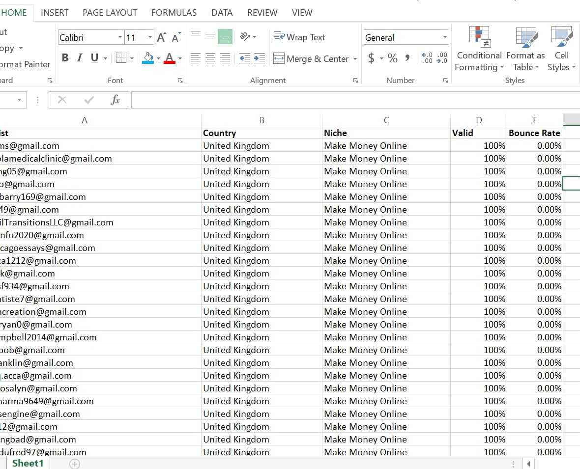 I will provide niche b2c targeted email list for any business