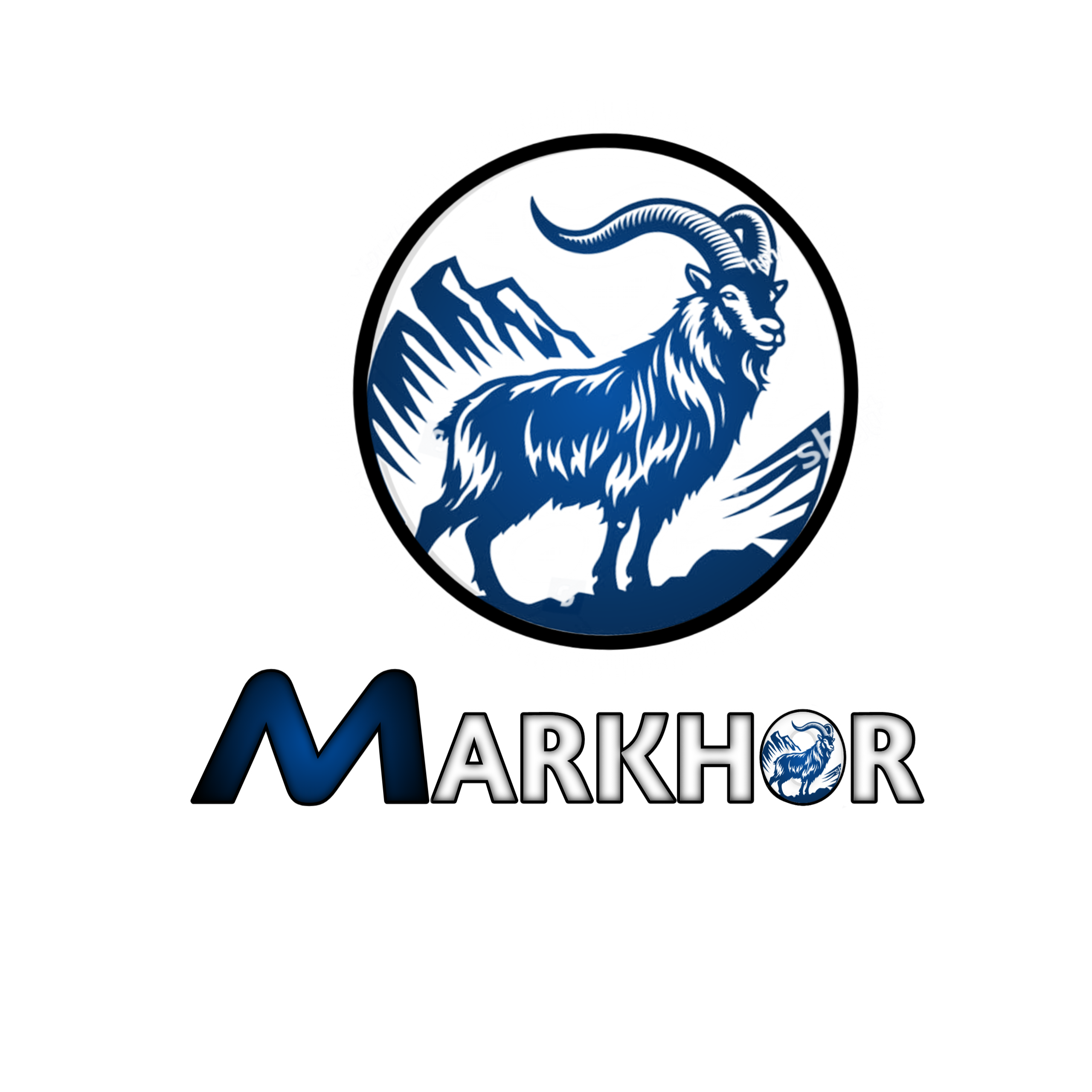 I will customize unique Logo design 