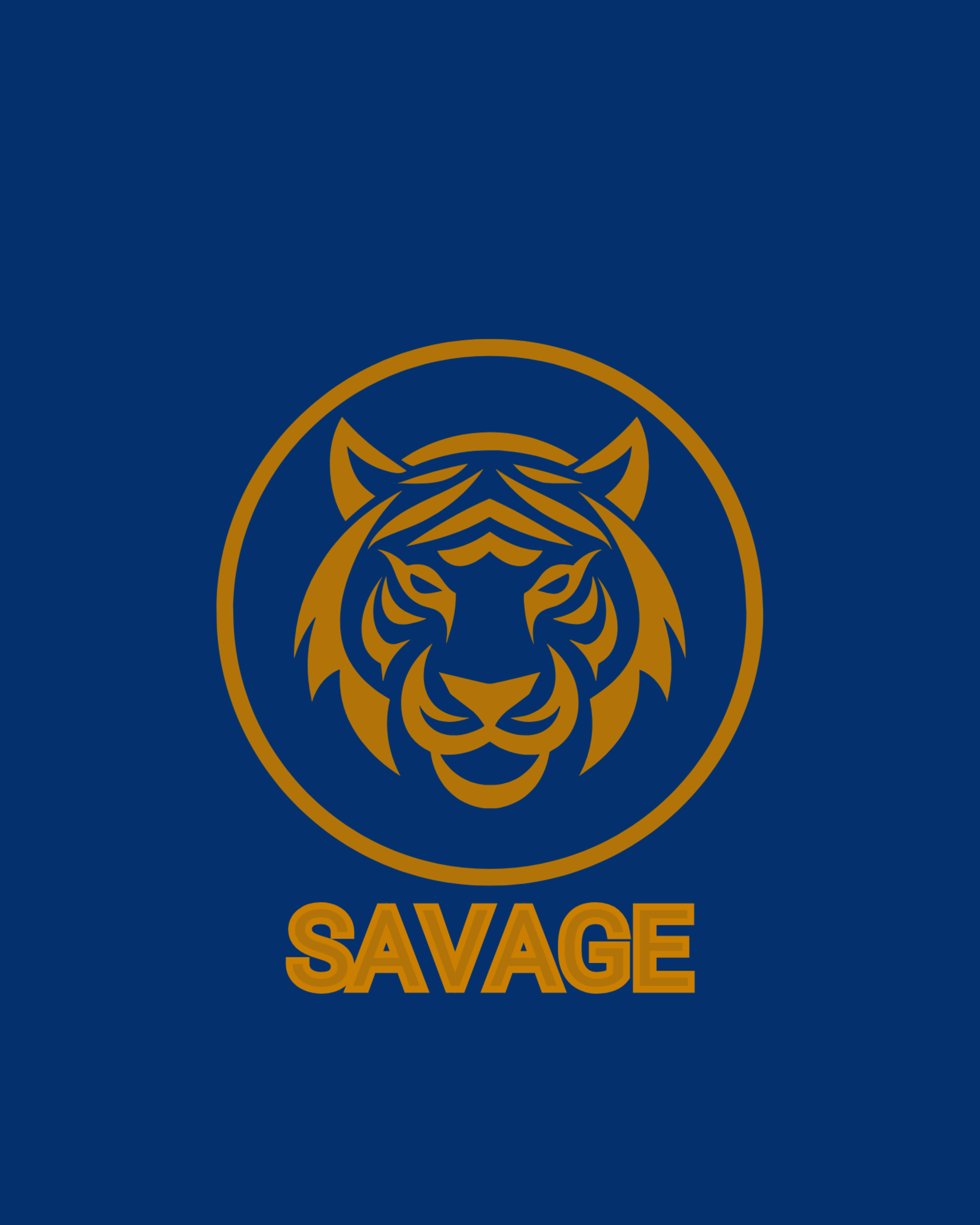  I make a professional Logo and Graphics designing 