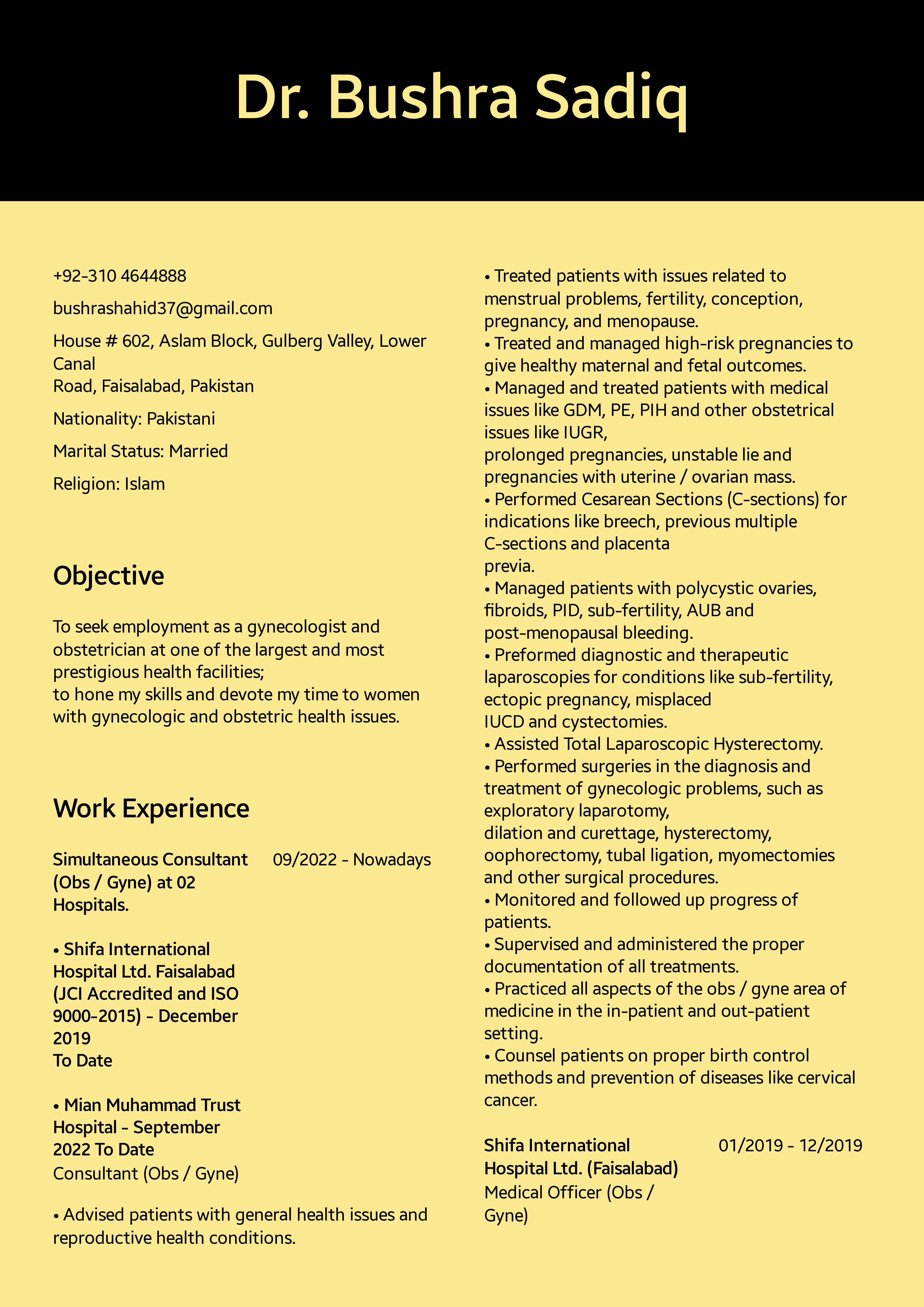 Professional Resume PDFs Stand Out Online & Impress Employers!