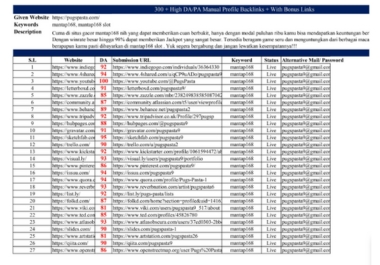 Top 100 manual high domain authority SEO profile backlinks