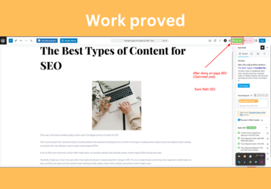 I will do On-page SEO for your WordPress posts & pages including website audit