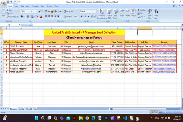 I will Provide 200 B2B Lead Generation, Google Maps Scraping & Targeted Email List Building