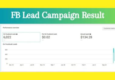  I Will Set Up & Optimize High-Converting Facebook Ads for Sales & Leads