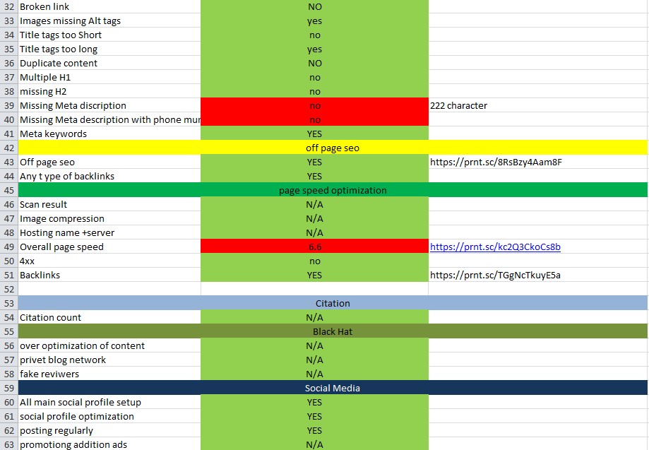 I will do SEO audit report, competitor website analysis and video review