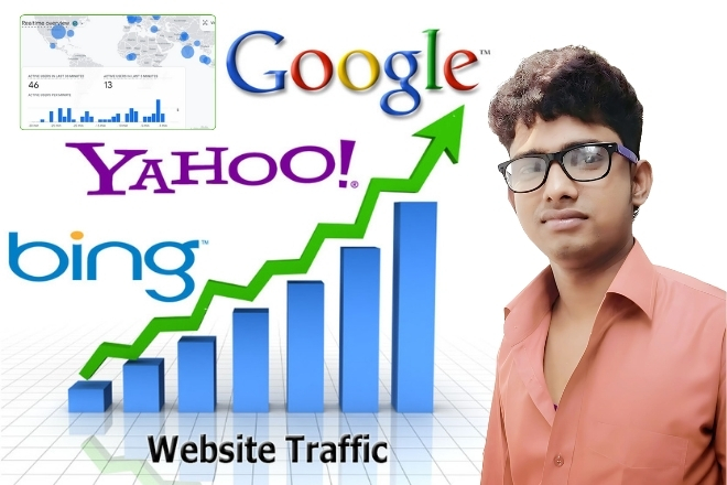 I will promote organic web traffic worldwide