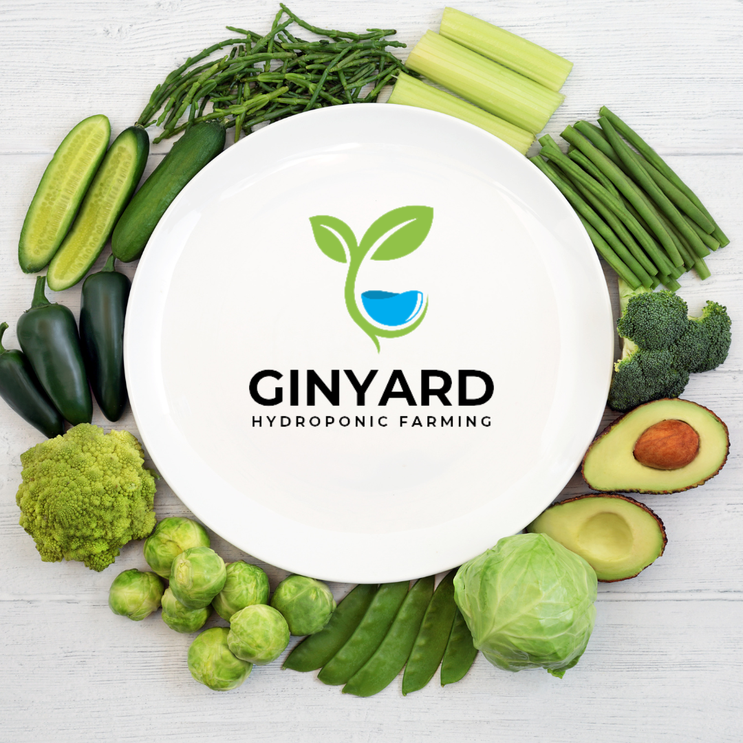 business Brand identity design service 