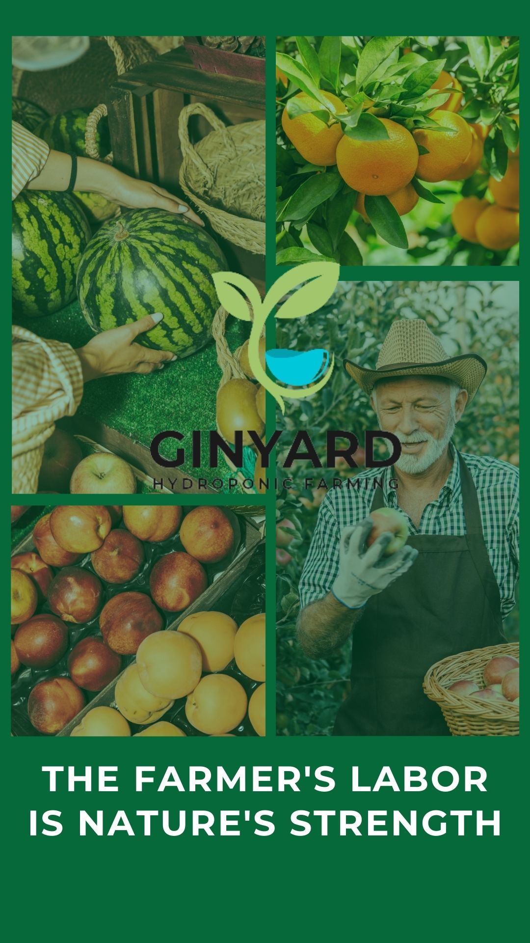 business Brand identity design service 