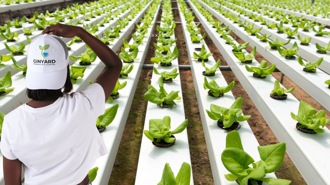 business Brand identity design service 