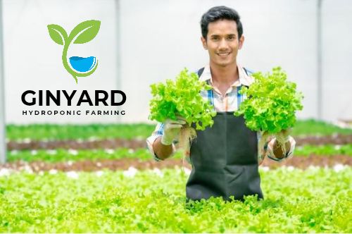 business Brand identity design service 