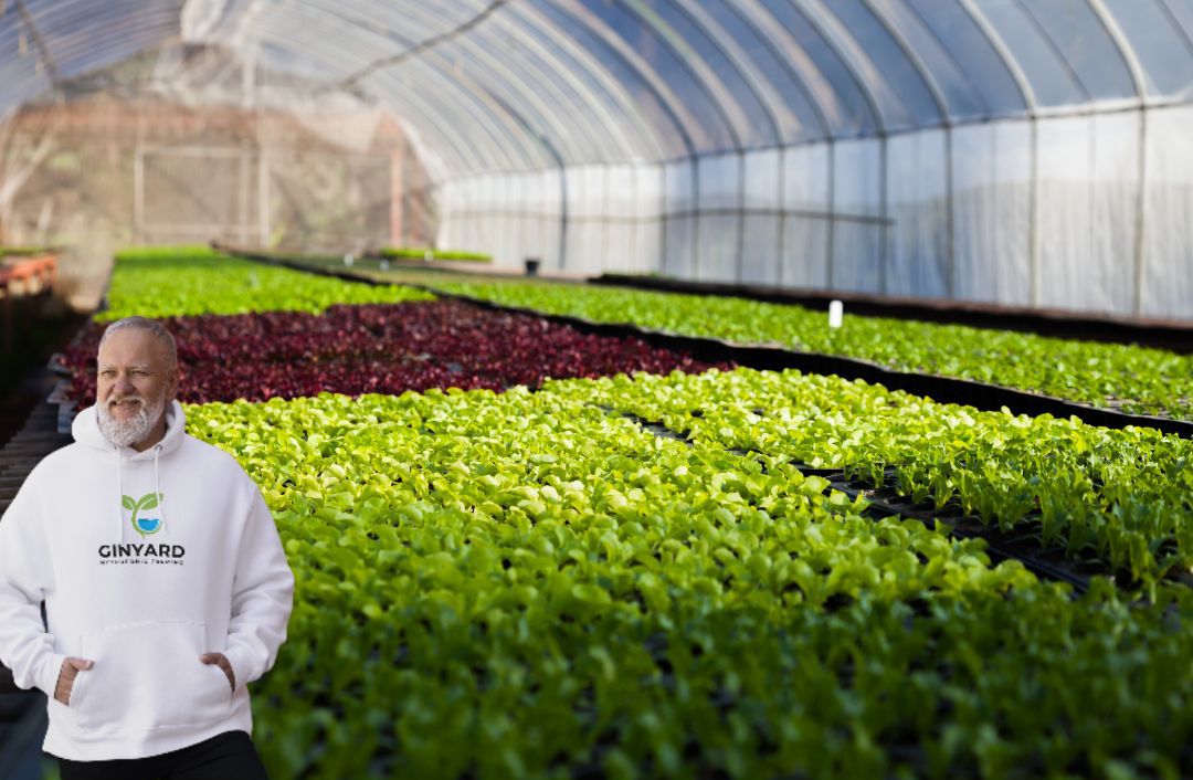 business Brand identity design service 