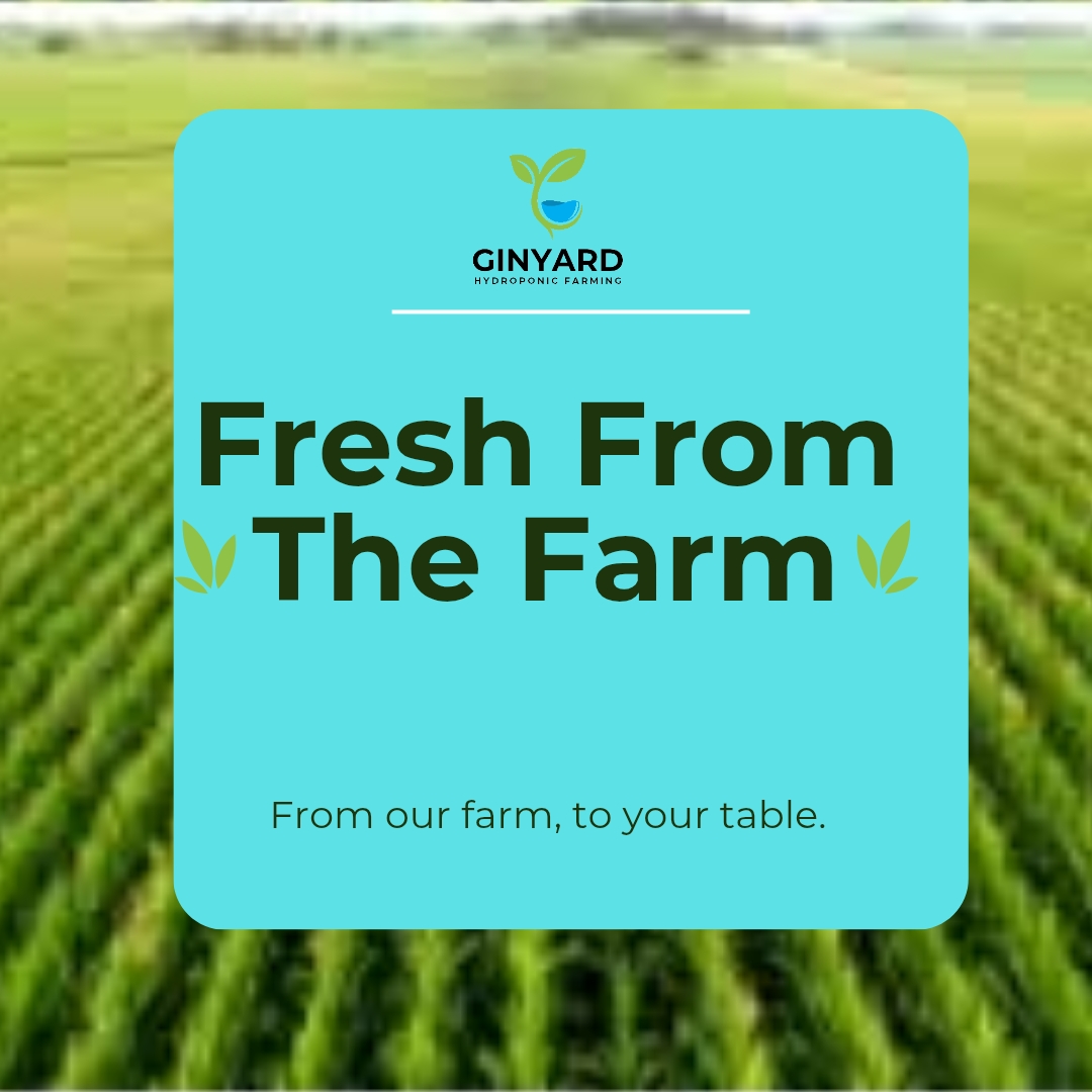 business Brand identity design service 