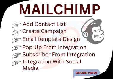 I will set up and automate your Mailchimp email marketing campaigns