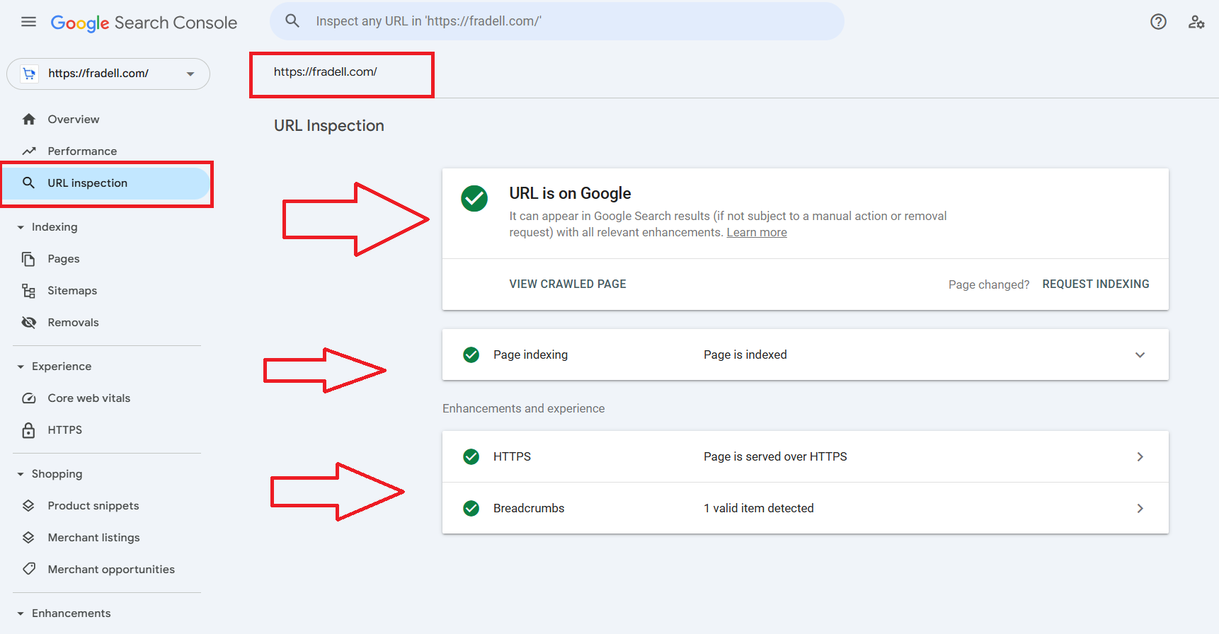Boost Rankings with a Skilled SEO Web Developer