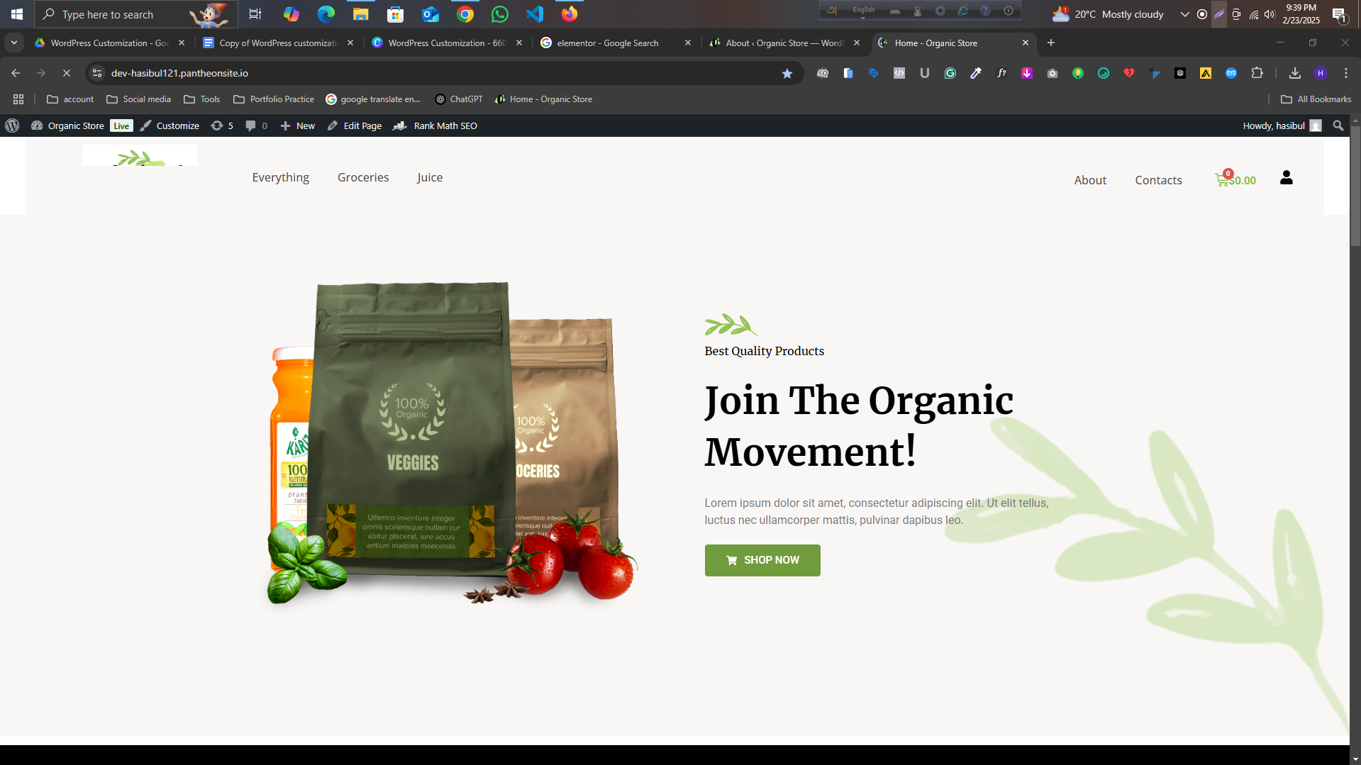 I will do WordPress customization for your business & personal website