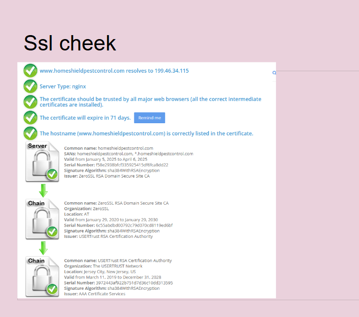 Complete Website SEO Audit with Strategic Optimization Roadmap