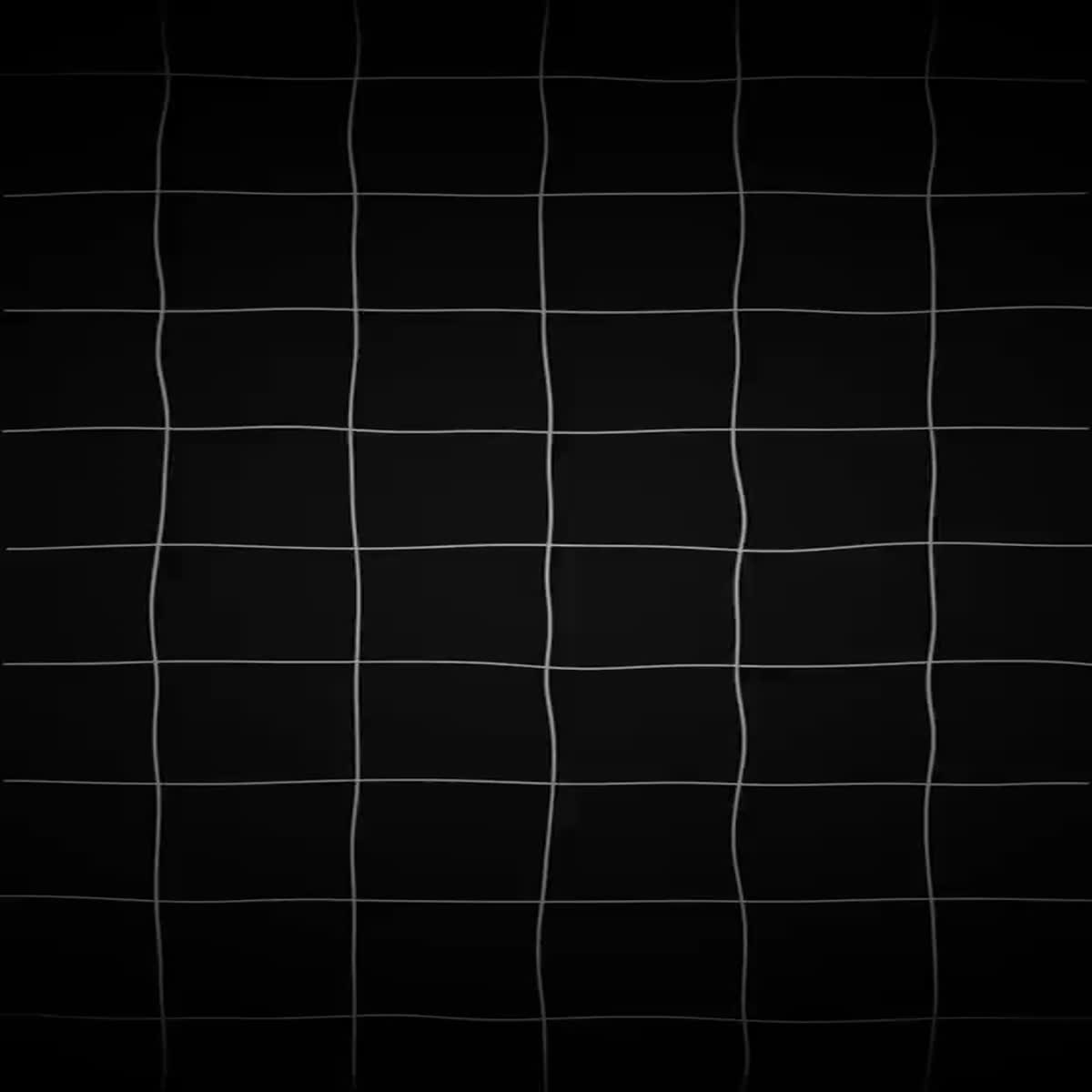 I will create an Engaging short Video REEL-SHORT-FACE...