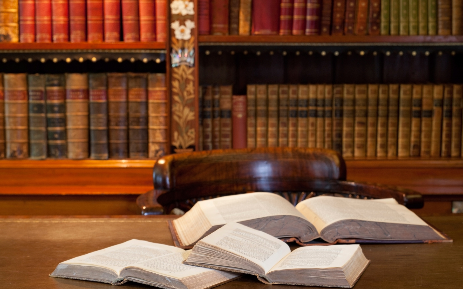 Professional writer and content creator 