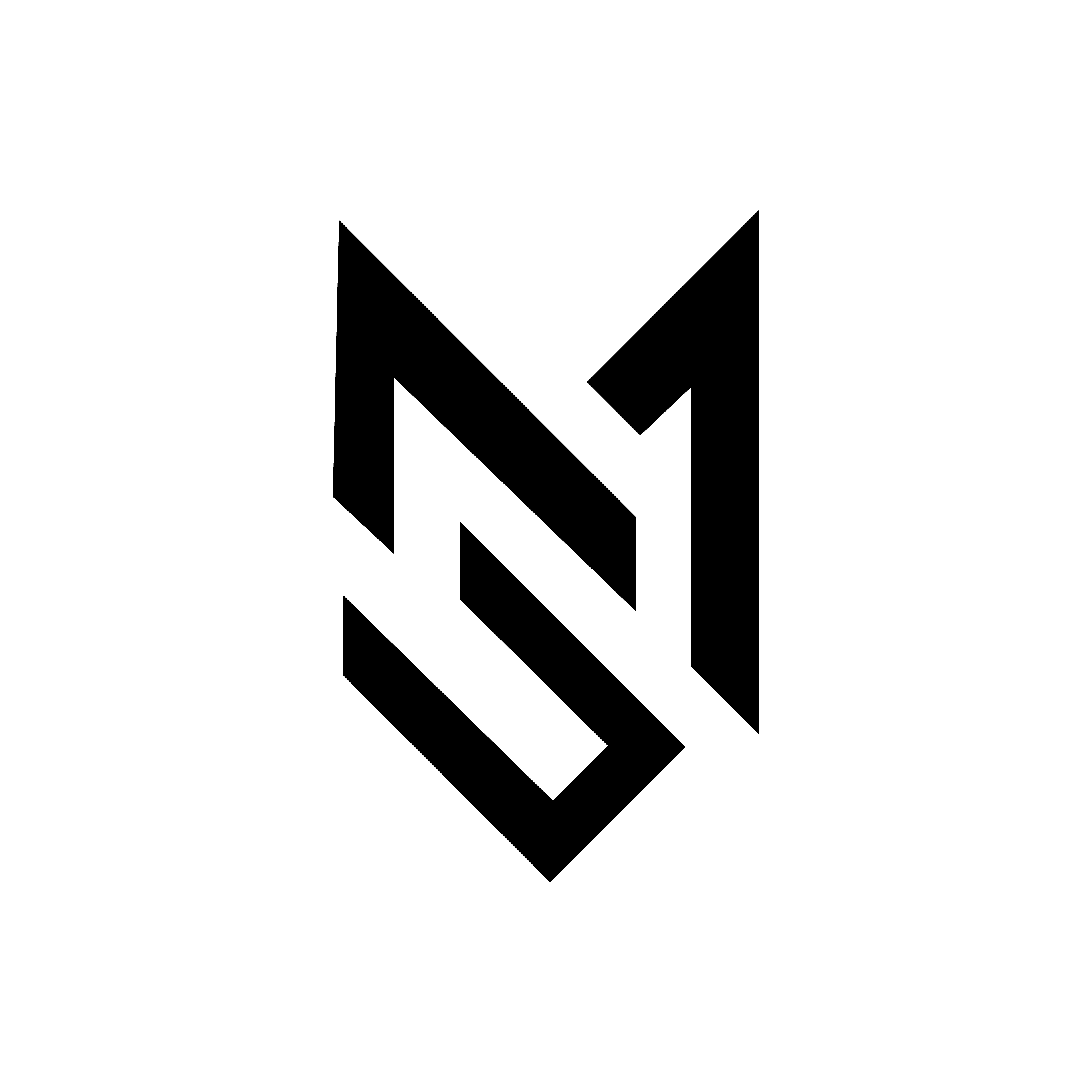 MS Abstract Logo Design . professional Modern Logo Design.