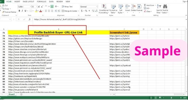 i will Manual Create 350 SEO Dofollow Backlinks, Google Ranking Link Building.