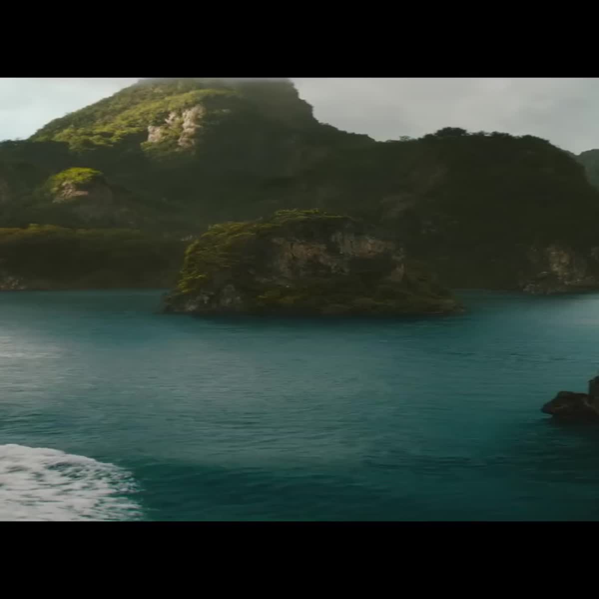 Animated reels for your purpose