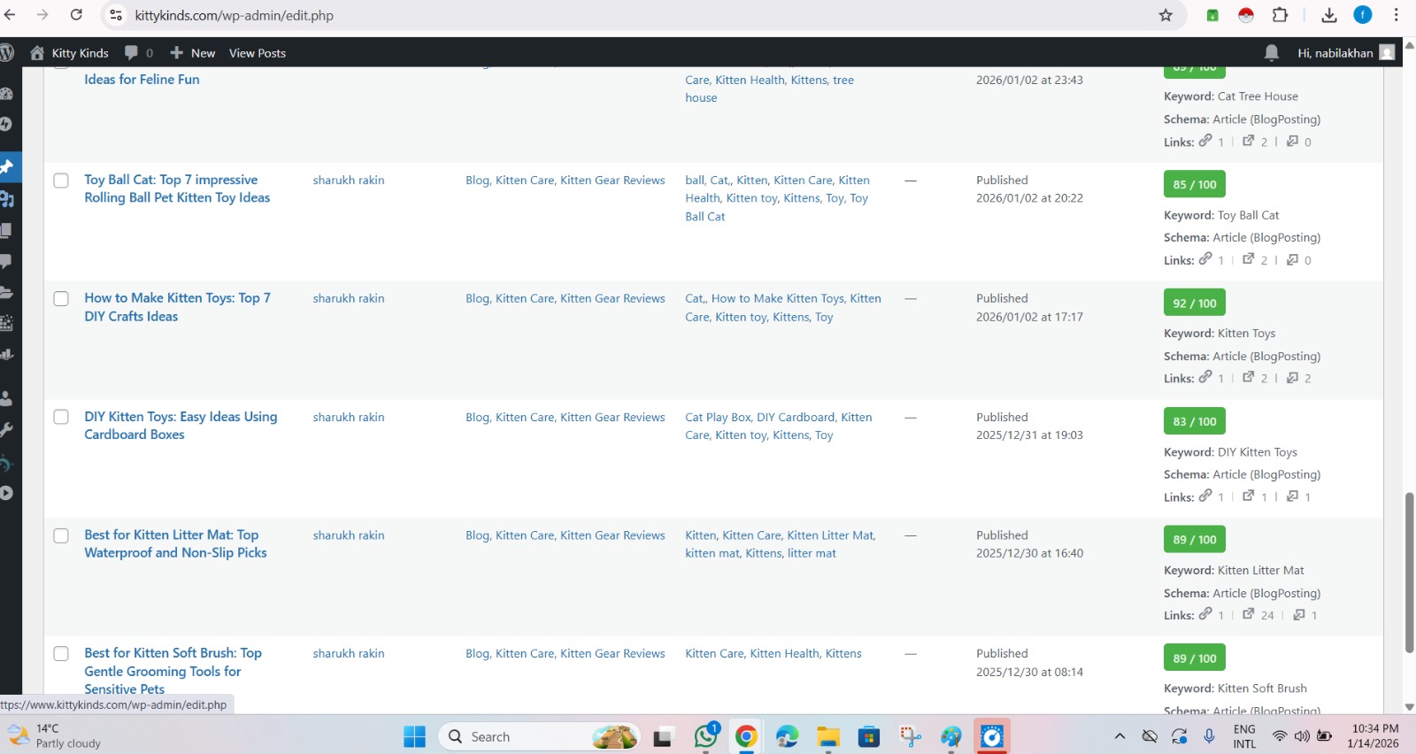 I will do advanced on page SEO optimization to rank your website on Google