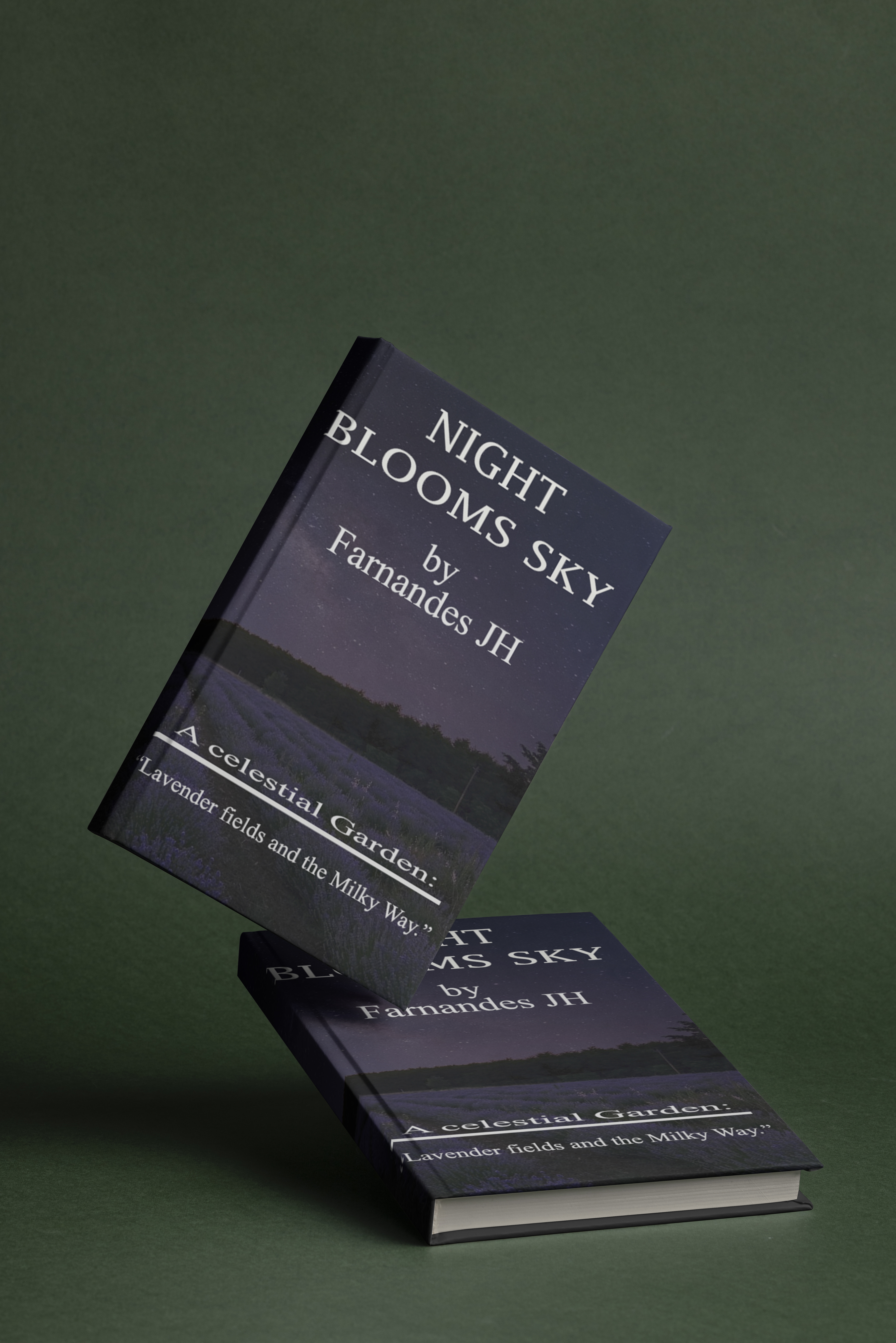 I will design a professional, modern, minimalist ebook cover