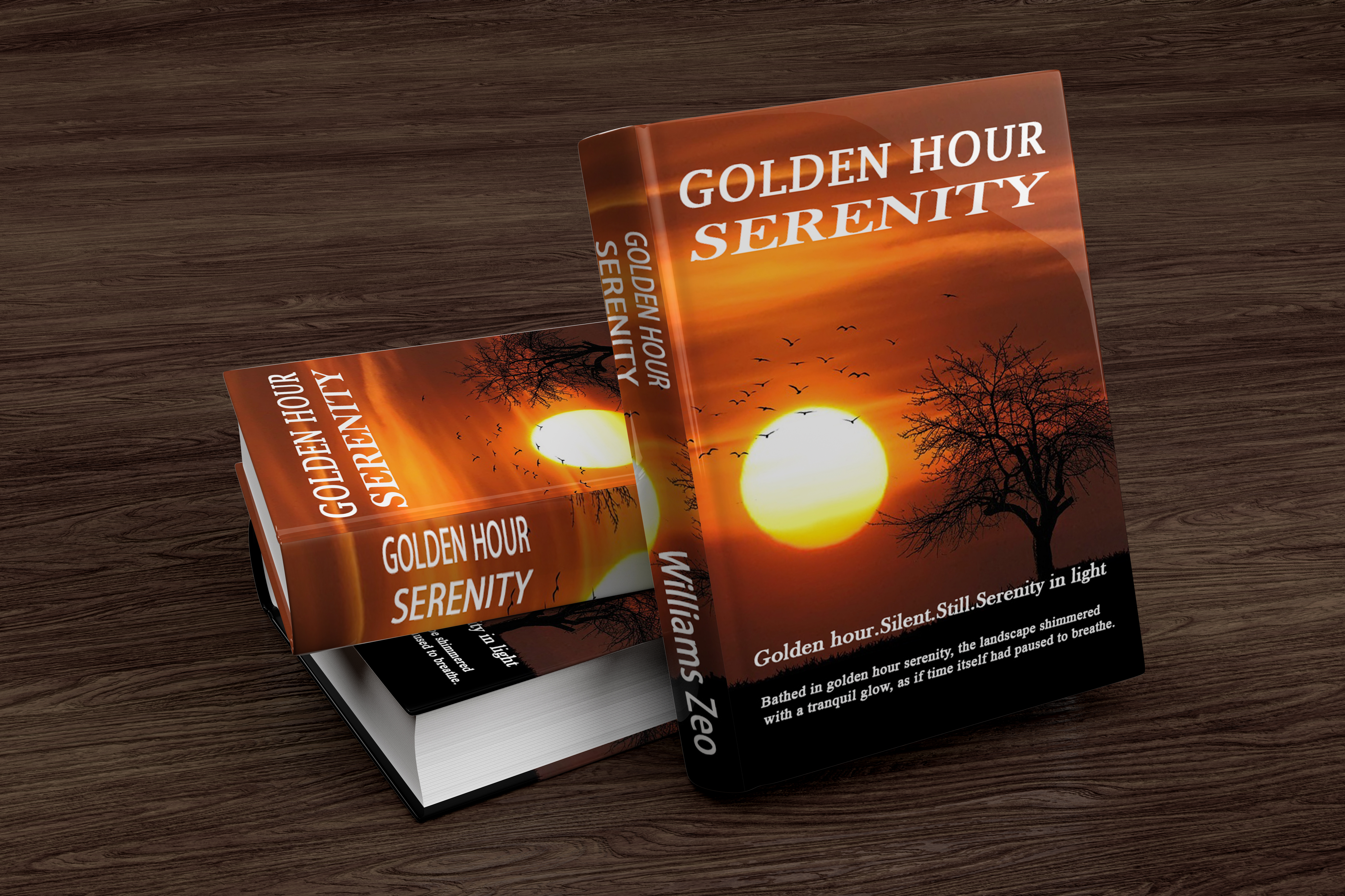 I will design a professional, modern, minimalist ebook cover