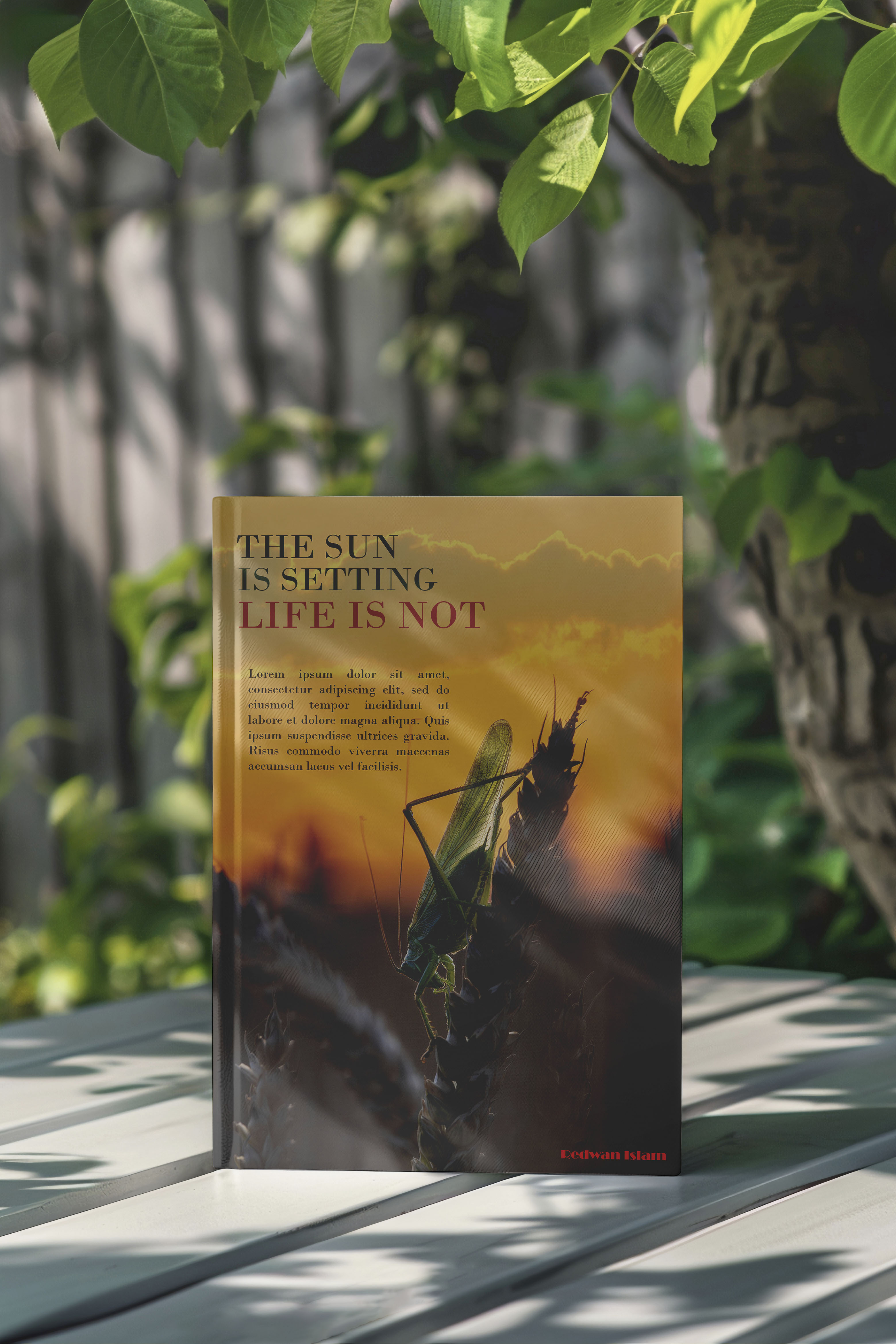 I Create Market-Ready Book Covers to Boost Clicks, Reads & Sales.