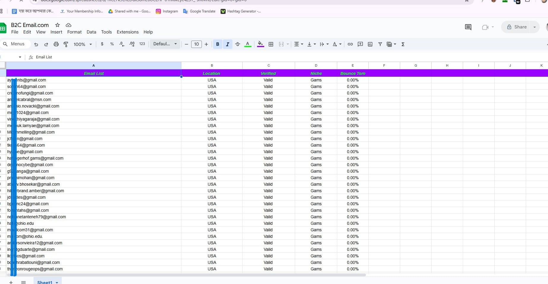 Get 400K+ Targeted, Active & Verified Niche-Based Email Lists