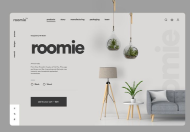 I will design and build a landing page with elementor and wordpress