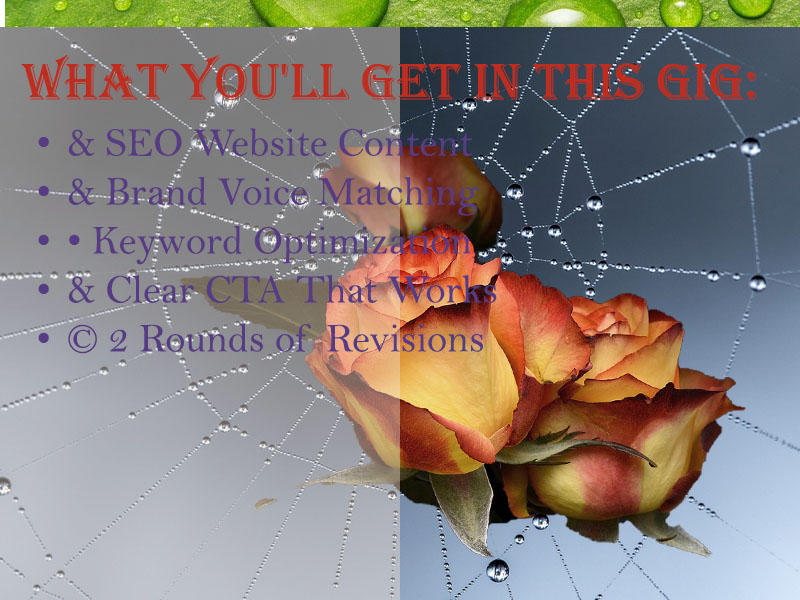 I will do content writing as an expert in this field everywhere