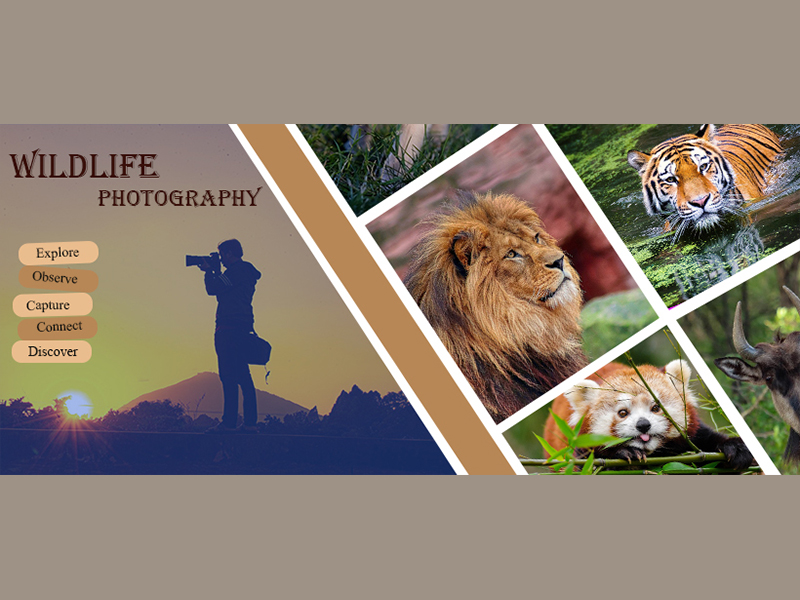 I will design clean, creative and eye-catching facebook cover and other social media banners.