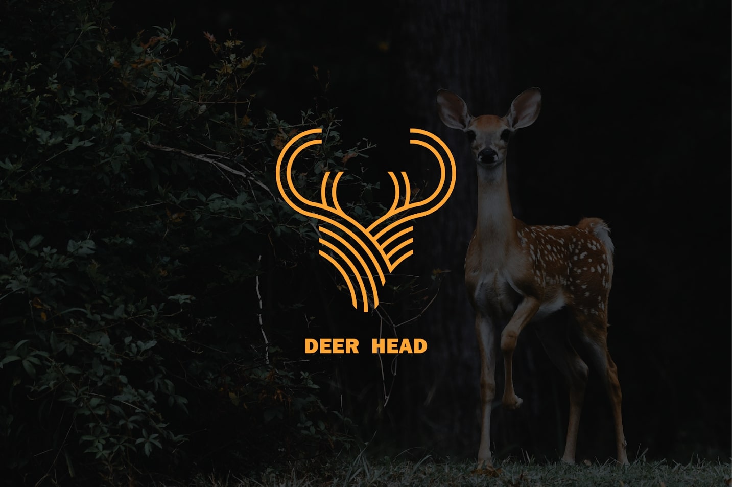 Professional Minimalist & Modern Logo Design | Unique, Creative, and Brand-Focused