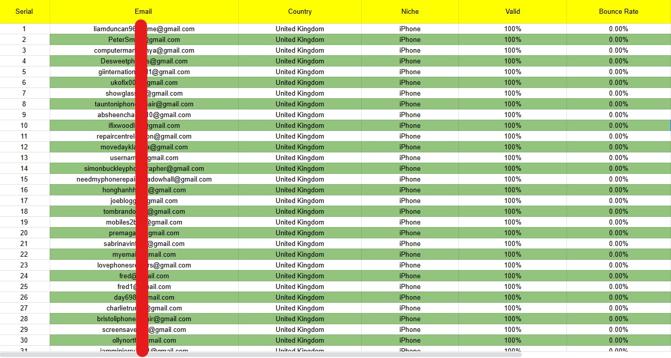 I will provide you niche targeted verified bulk email list for your business