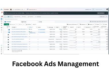 I will be your professional Virtual admin assistant to help on daily task 
