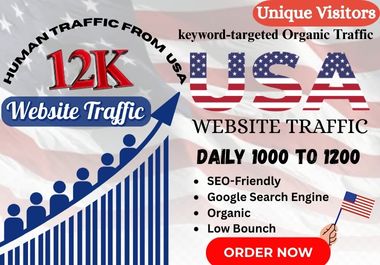 12,000 real organic USA website visitors with human t...
