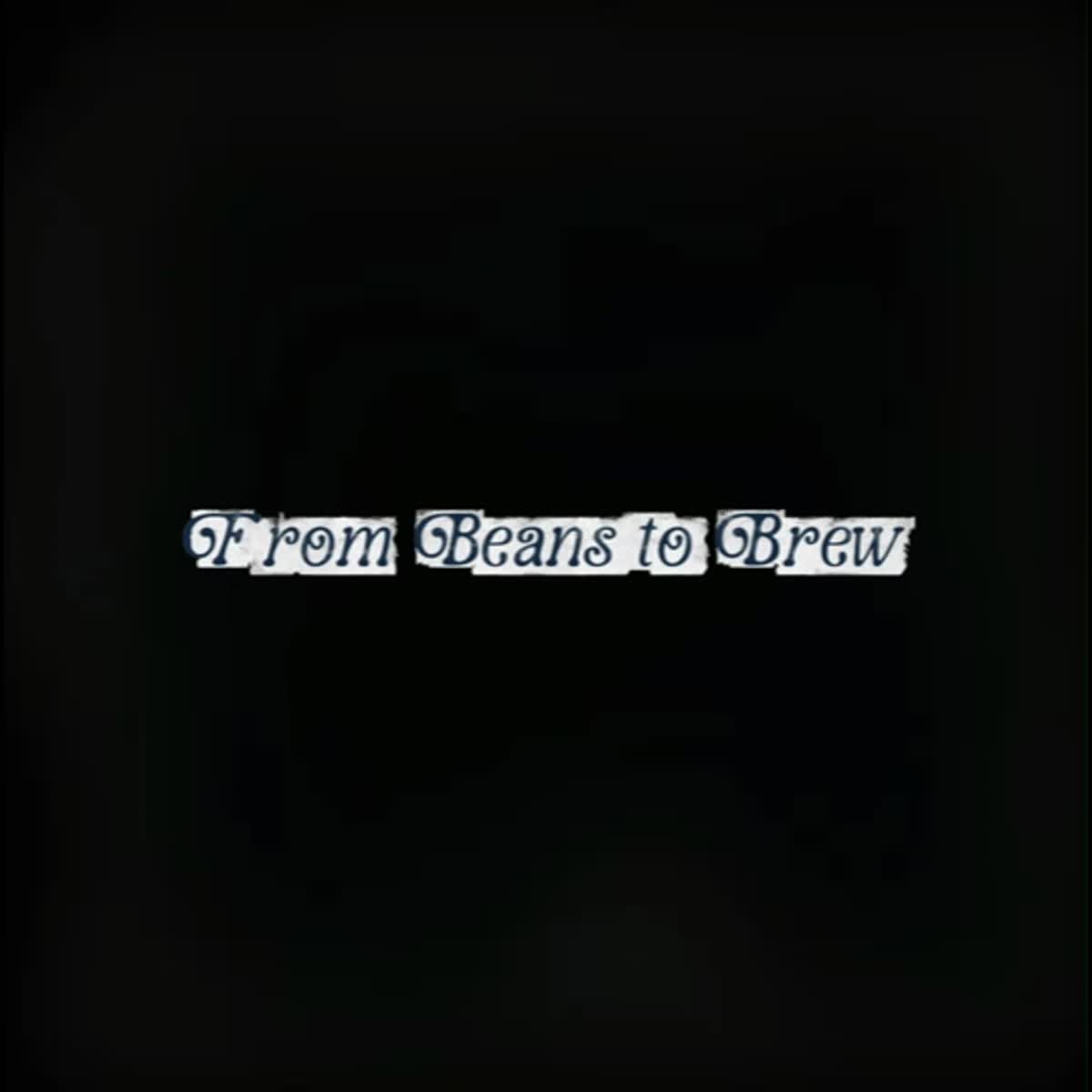 I will create professional commercial ads that drive ...