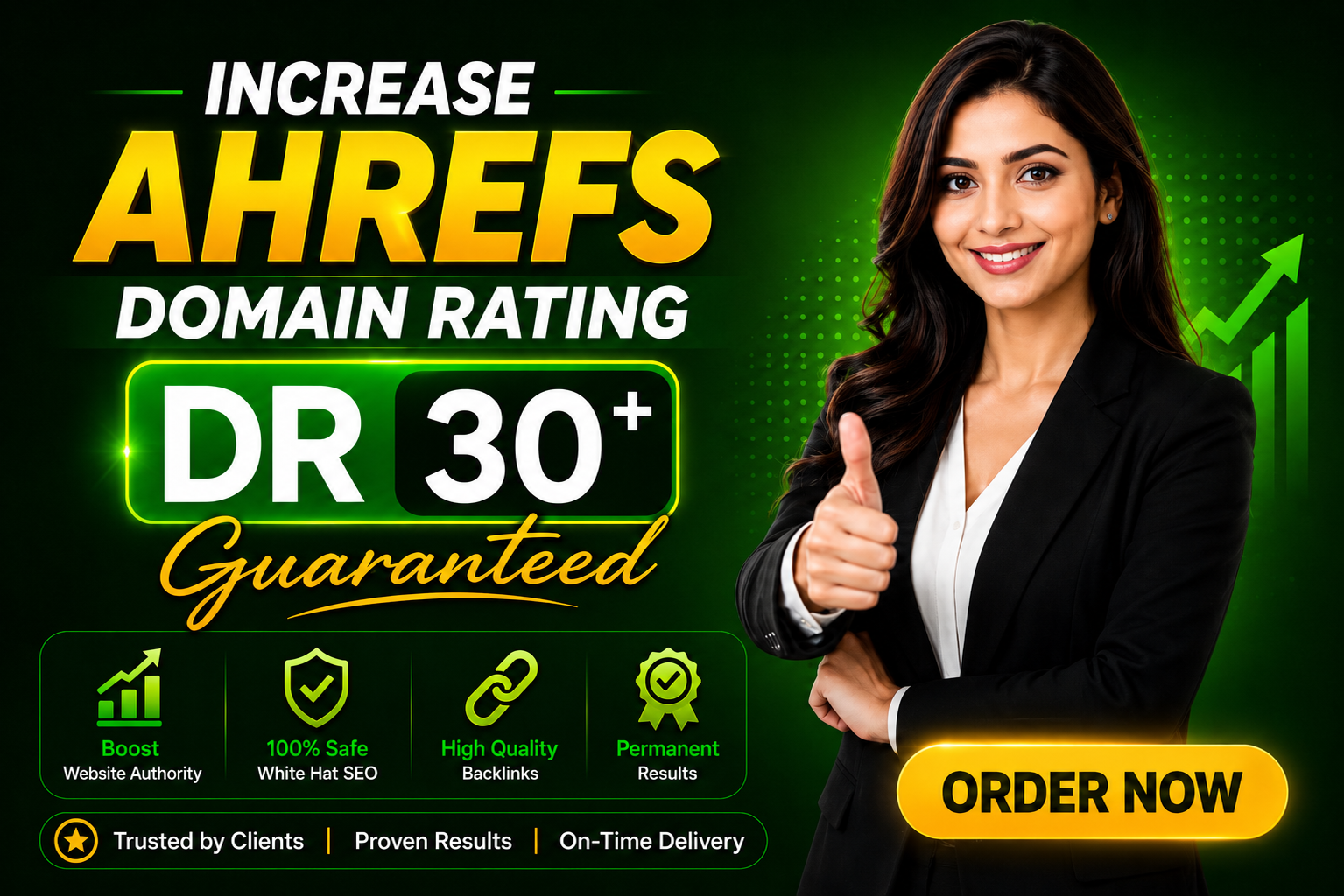 I Will Increase Ahrefs DR to 30 Using Authority SEO B...