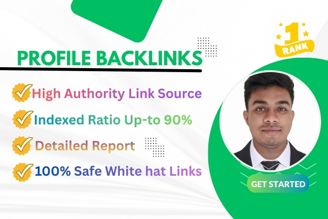 I will build 300 high authority SEO profile backlinks manually