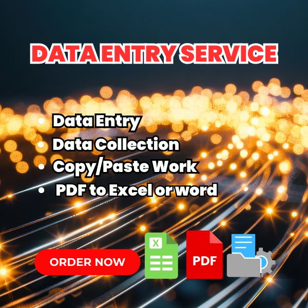 Professional Data Entry, Copy Paste & PDF to Excel Service