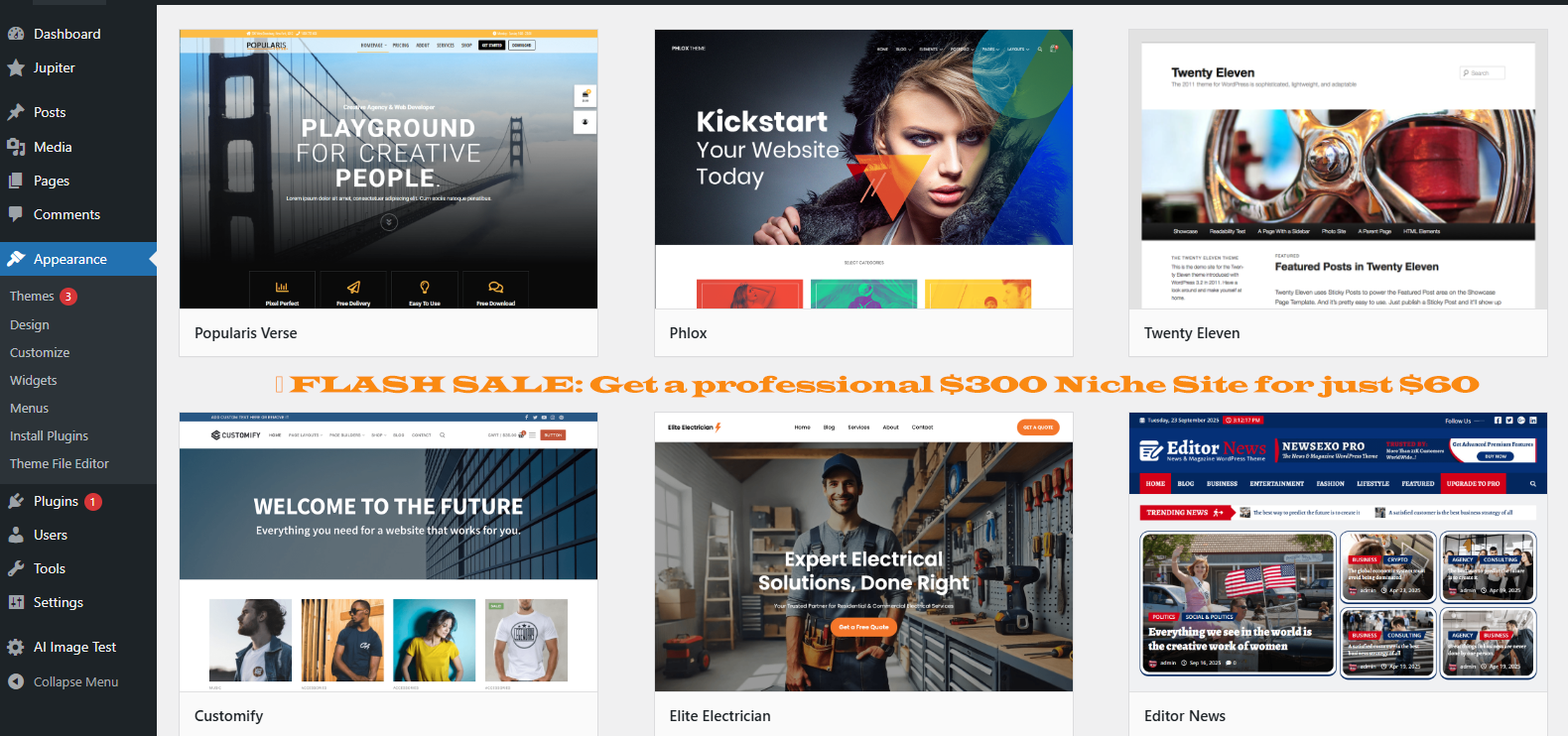 I will build a High-Performance SEO Niche Website wit...