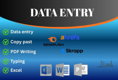 I will do fast and accurate data entry, copy paste, Excel work