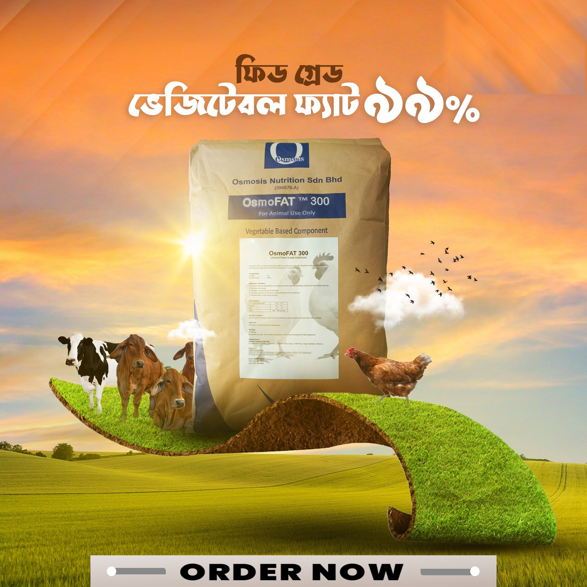 I will design professional product advertisement bann...