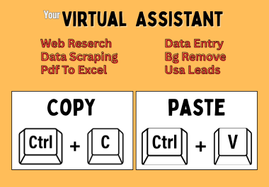 I will do Work High quality Copy paste, data entry, web reserch Work