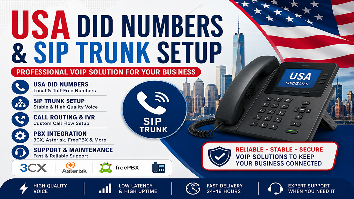 I will provide professional SIP trunk setup with DID and cloud PBX support