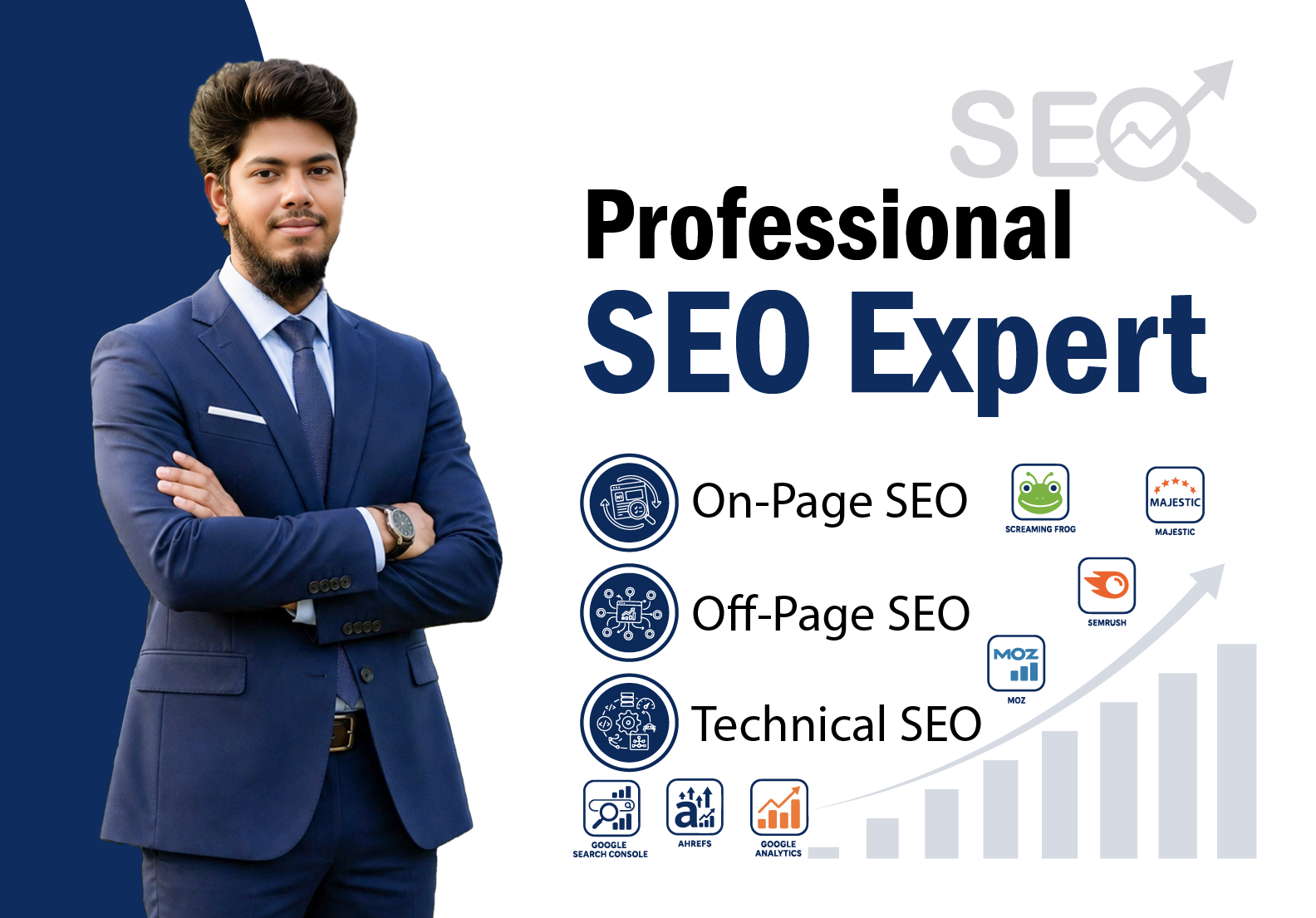 I will provide professional SEO services including On...